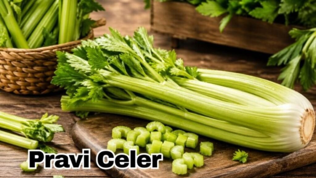 pravi celer